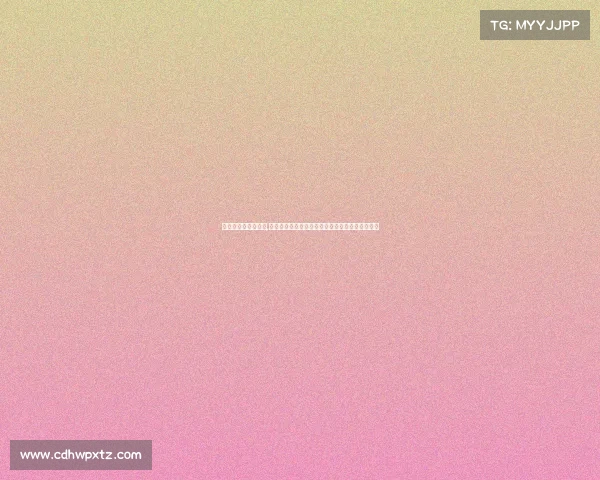 芝加哥战绩未来赛事,芝加哥战绩回顾与未来赛事展望精彩赛事不容错过